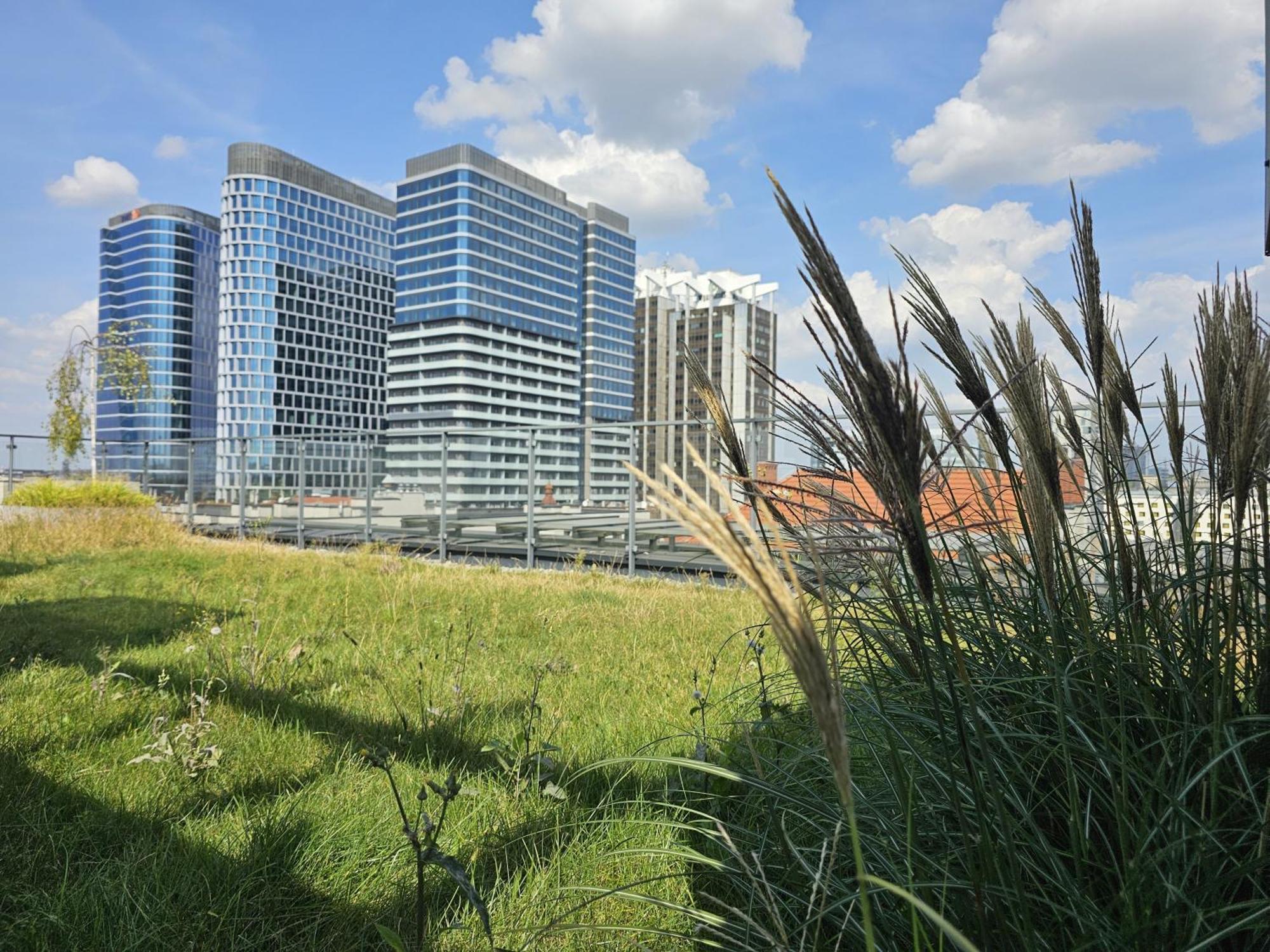 Urban Apartments Premium, Opolska 10 No 77B, Free Garage, Self Check-In Kattowitz Exterior foto